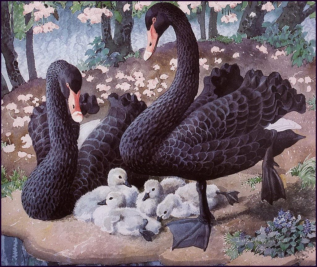 Black Swan Familie Vögel Ölgemälde
